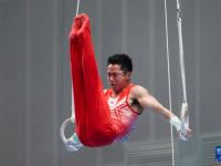 开云下载-中国体操队获得男子团体冠军