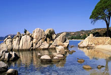 开云体育-阿根廷主帅表示对球队目前状态满意的简单介绍