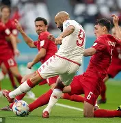 胜券在握突尼斯击败瑞士不负众望夺冠