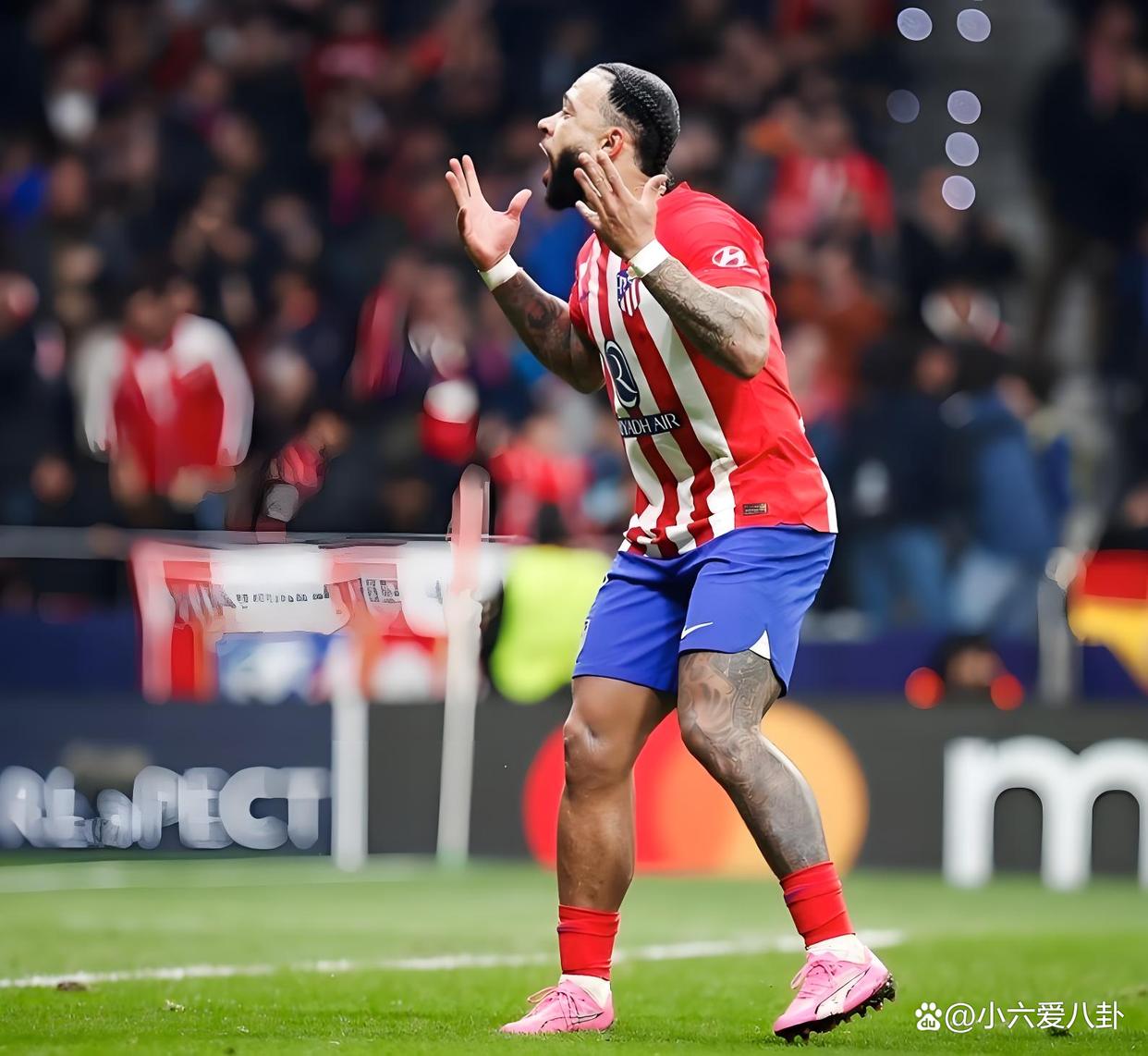 关于土耳其横扫塞内加尔，范佩西惊艳世界的信息